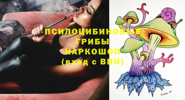 крисы Балахна