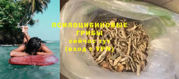 соль ск Нязепетровск