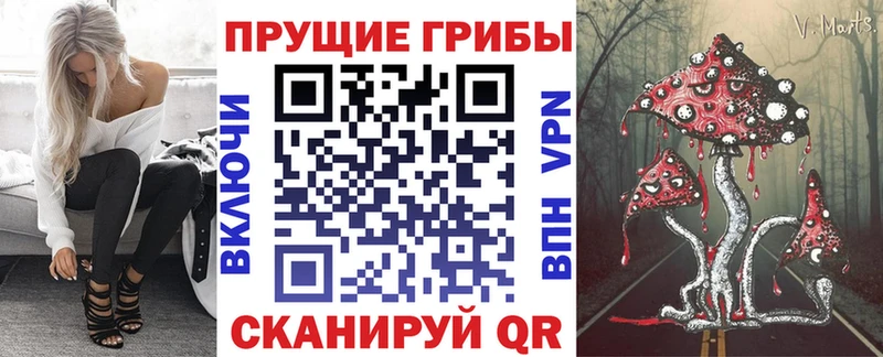 купить наркотики цена  Спас-Деменск  Псилоцибиновые грибы мицелий 